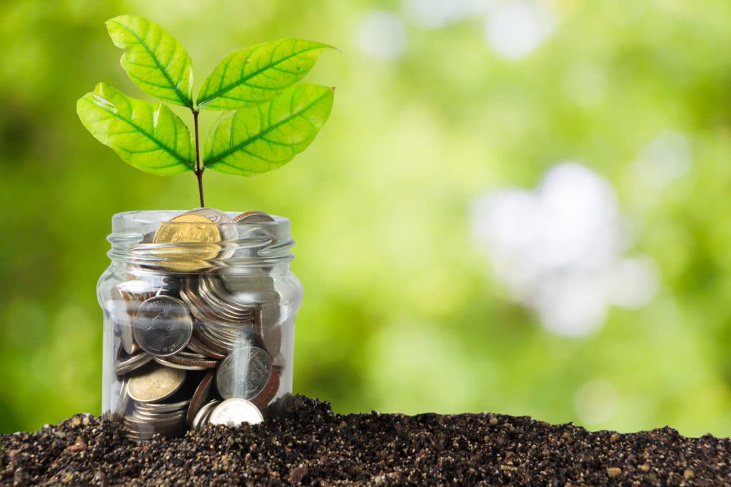 Coins Growing Plant to demonstrate financial planning and awareness